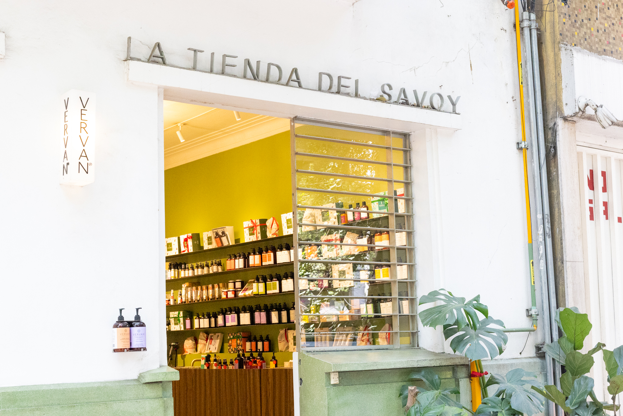Mexico City Guide for Beauty Lovers