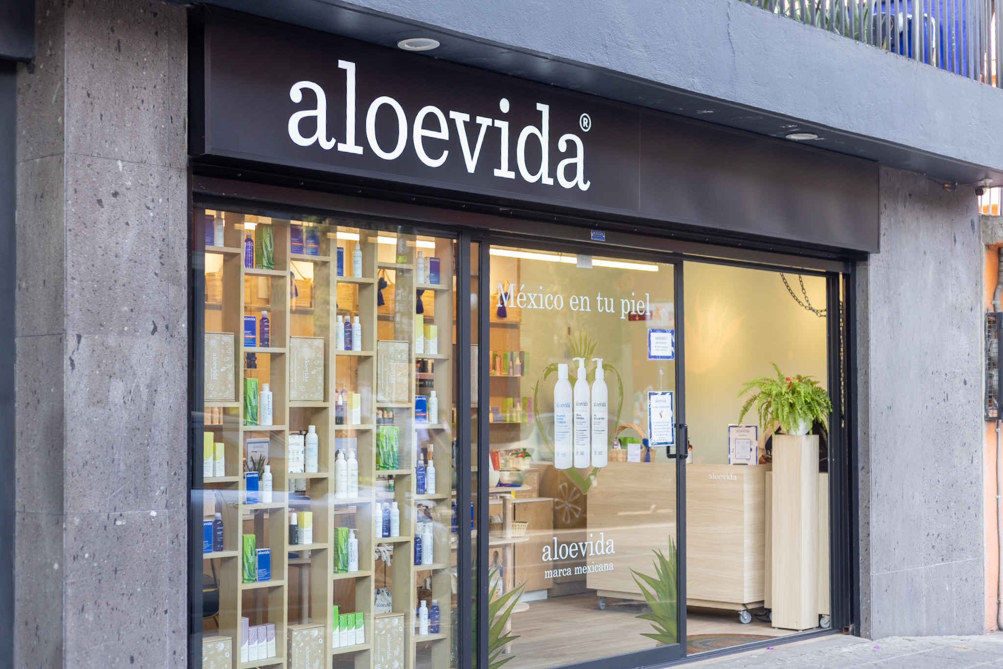 Mexico City Guide for Beauty Lovers