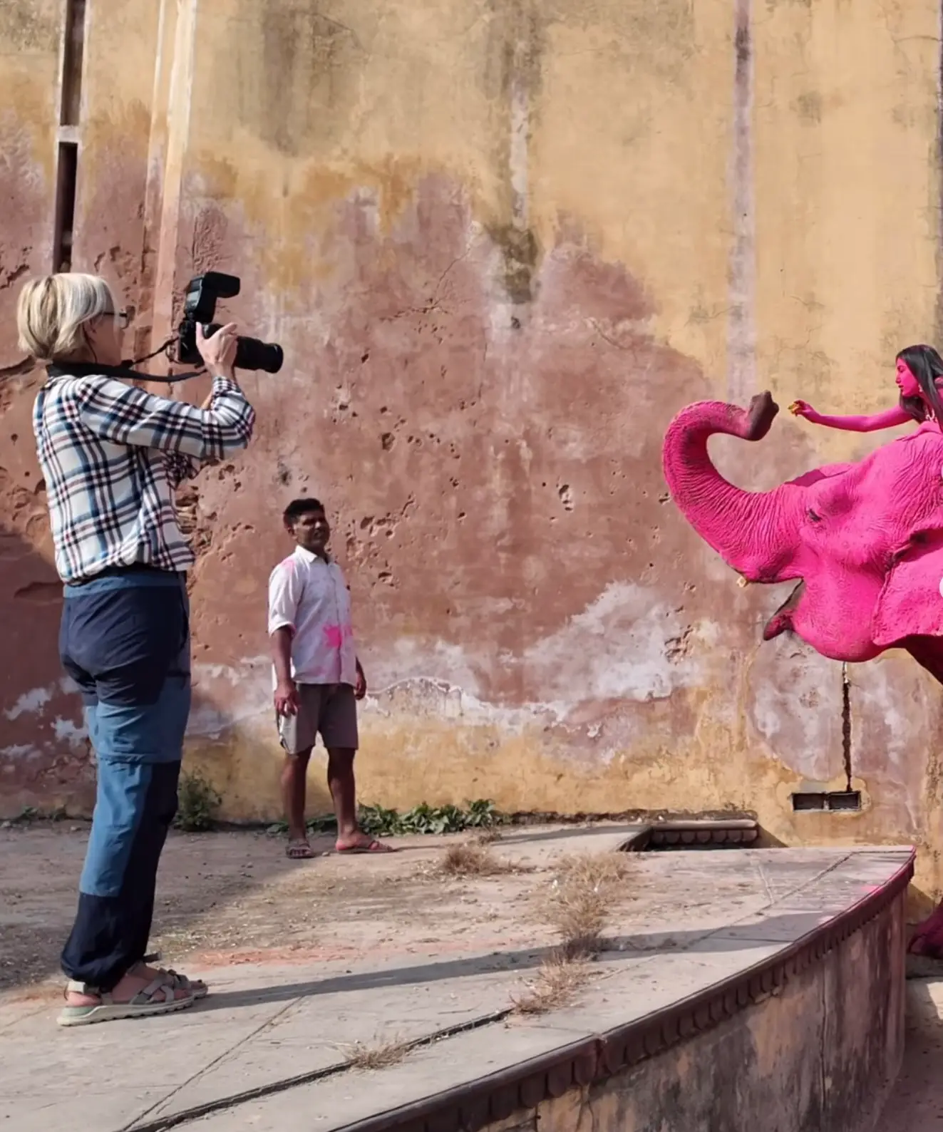 Photographer Julia Buruleva claimed the elephants she photographed were 