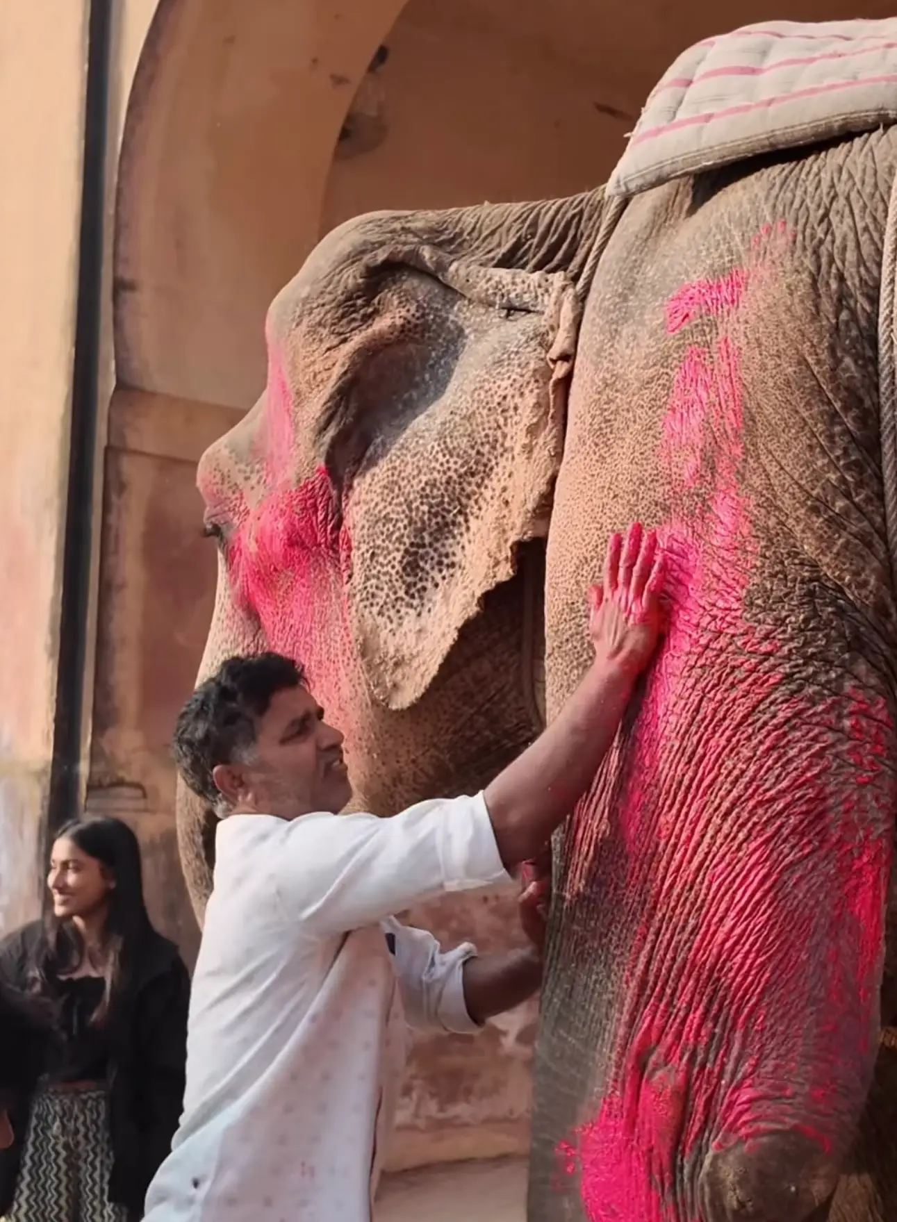 A bright pink powder was reportedly used to color the animal's skin (Instagram/@julia.buruleva)