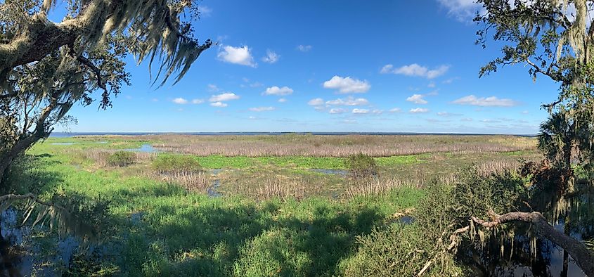 Lake Jesup.
