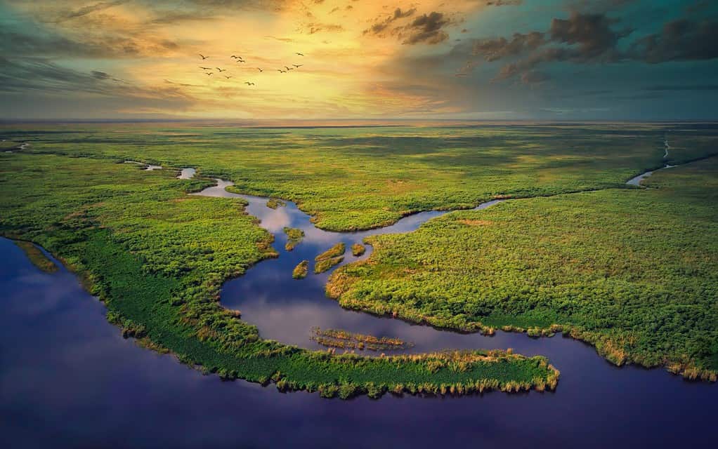 Aerial view of golden hour sunset in the Florida Everglades
