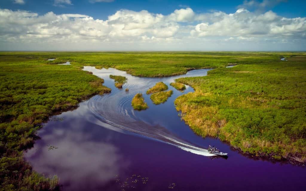 Everglades National Park, Florida, USA, Swamp, Airboat, Alligator