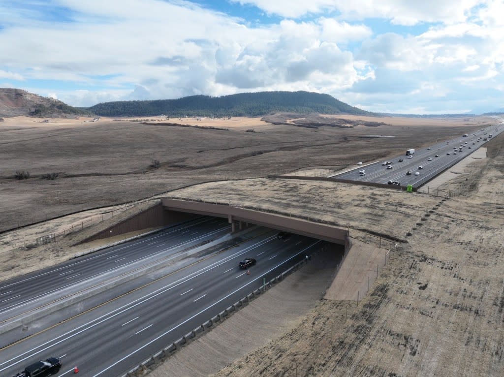 The opening of North America's largest wildlife overpass will allow moose, moose, black bears and mountain lions to cross six lanes of interstate traffic along 1-25 near Larkspur, Colorado. Colorado Governor's Office