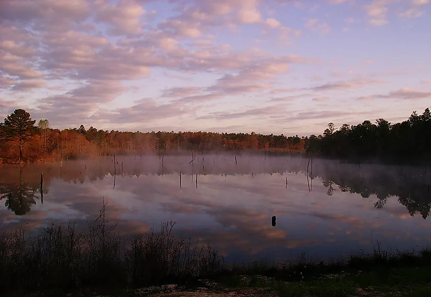 Carolina Sandhills National Wildlife Refuge