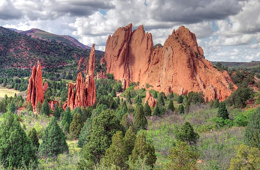 8 Most Rattlesnake Areas in Colorado