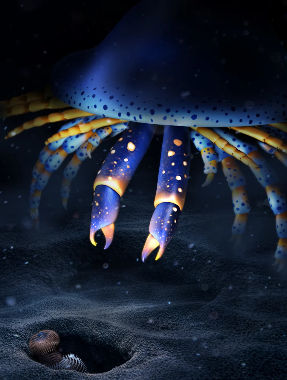 Illustration of prehistoric spider relatives. It hunts under the sea with its two front claws.