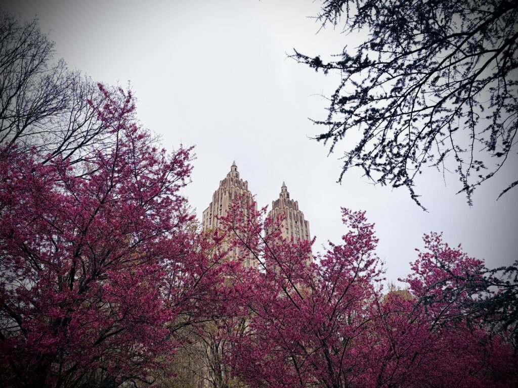 Spring on the Upper West Side: How far can you take the beauty?