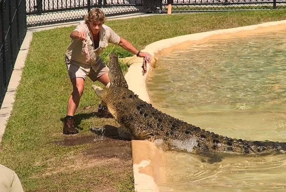 Steve Irwin feeding the crocodiles