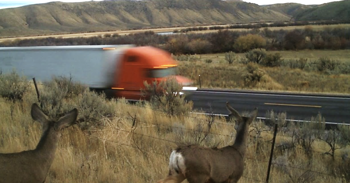 The most dangerous stretch of Highway 30 in southeastern Idaho for people and deer is becoming significantly safer.