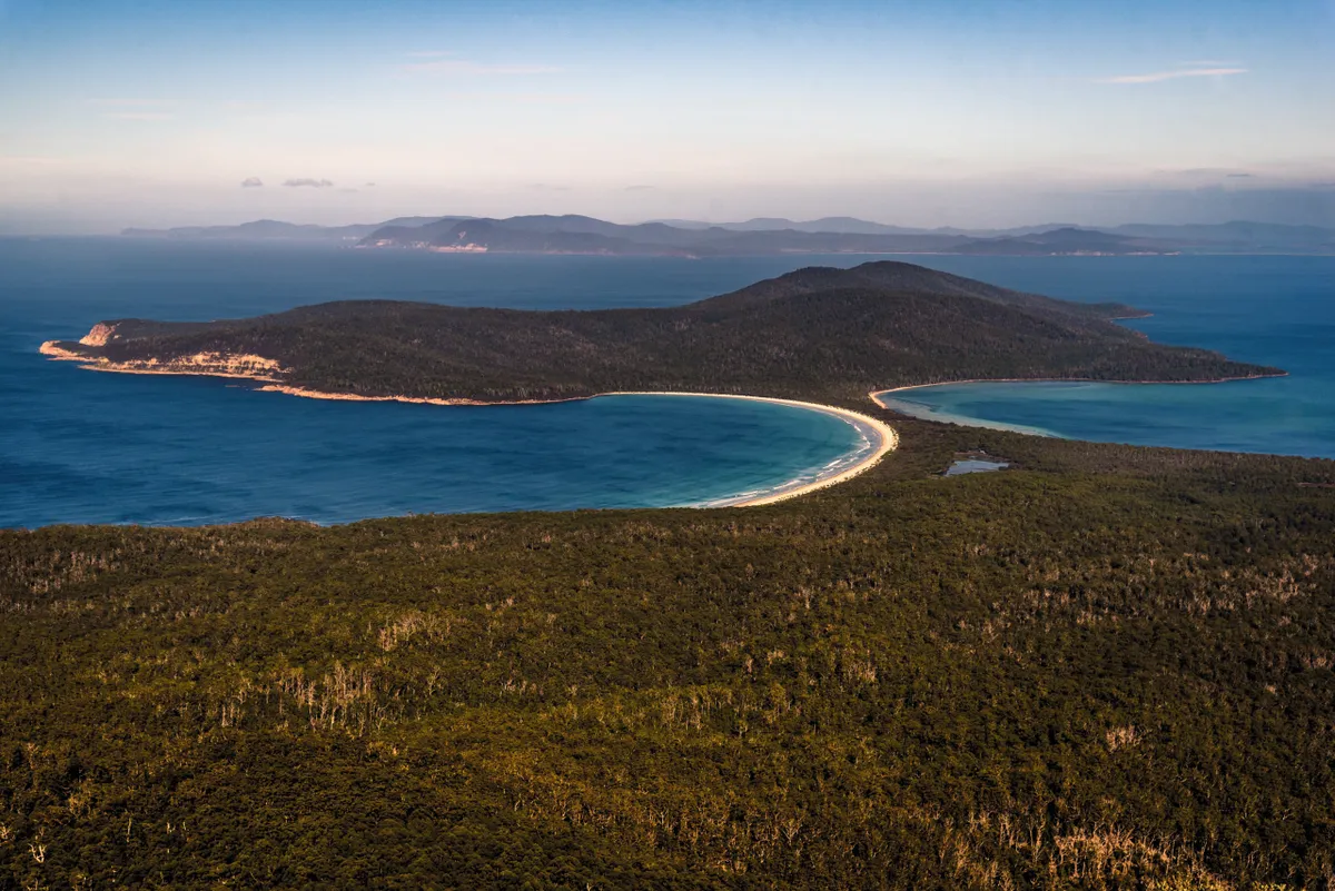 Zookeepers visited a former penal colony in Australia and found it overflowing with adorable wombats. discover wild animals